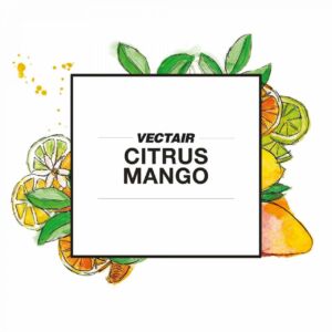 V-Air Solid Refills – Citrus Mango – 6 units